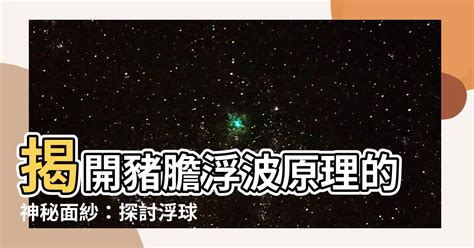 豬膽浮波原理|如何理解和選擇波曲掣：原理和種類介紹